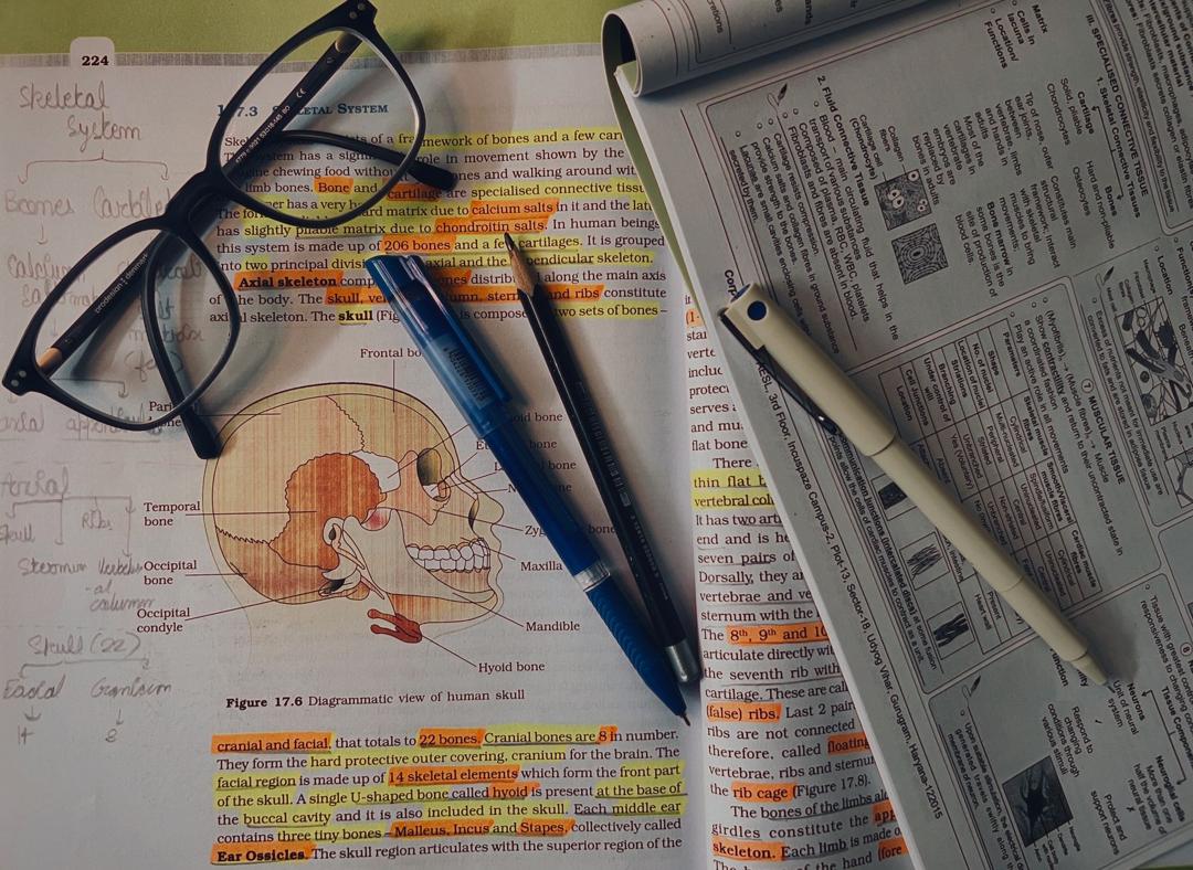 A Student's Survival Guide to the Age of AI Detection