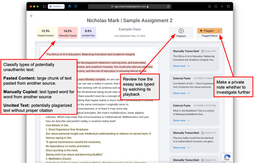 Detailed plagiarism report showing analysis and investigation tools